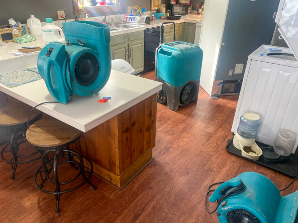 Best Water damage cleanup near me  in Havana, FL