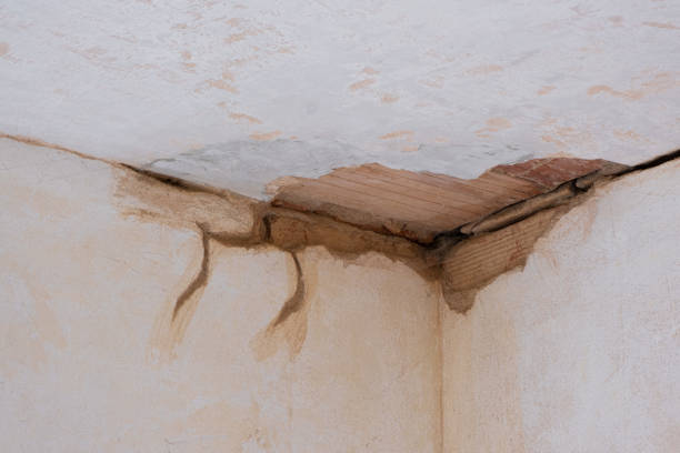 Best Local water damage restoration  in Havana, FL