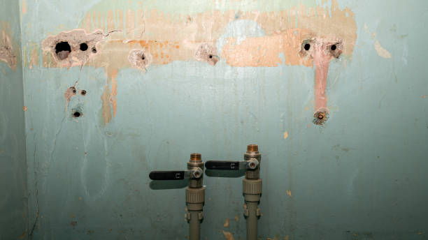Best Water damage restoration near me  in Havana, FL