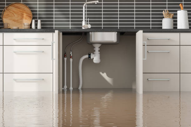 Best Residential water damage restoration  in Havana, FL